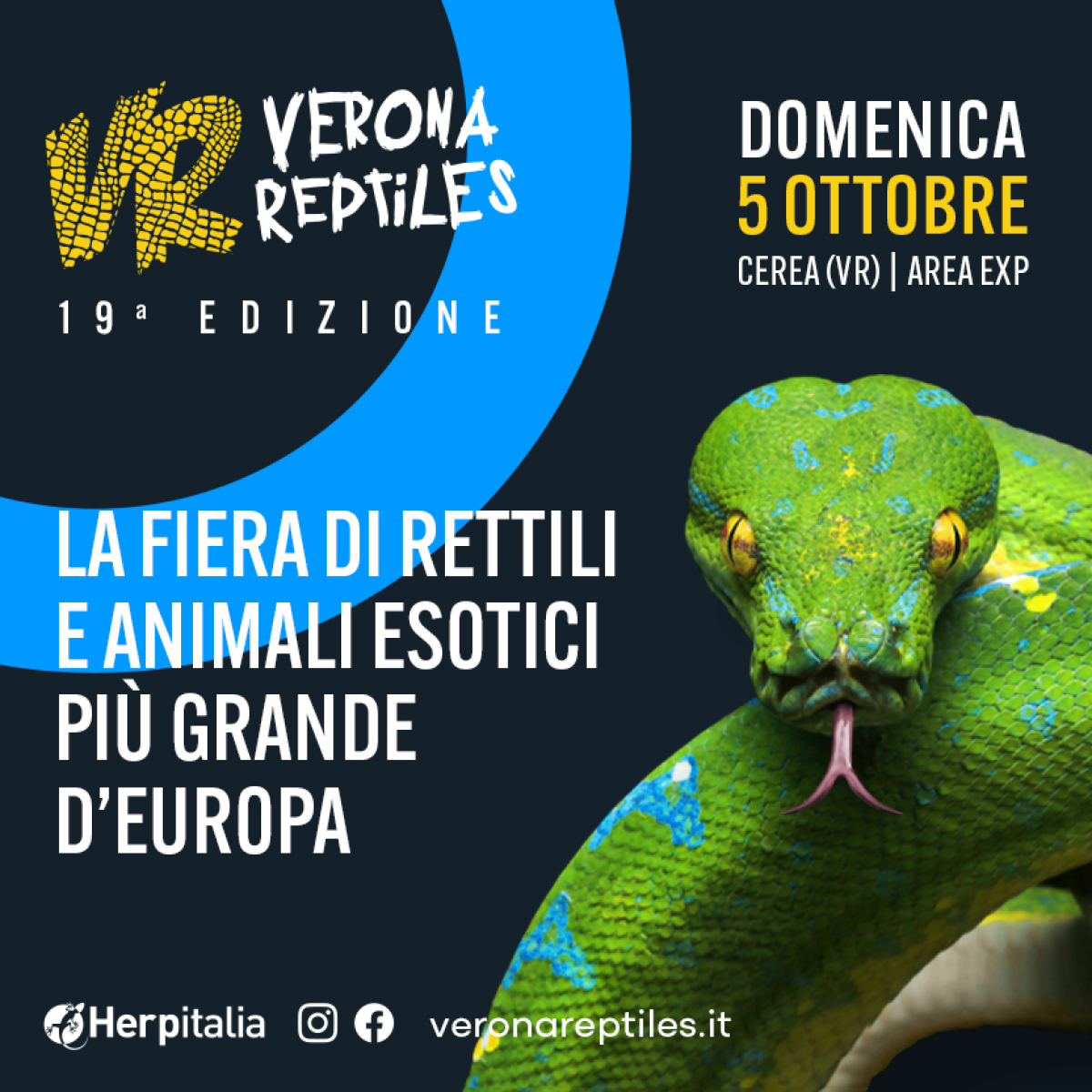VERONA REPTILES | 05/10/2025