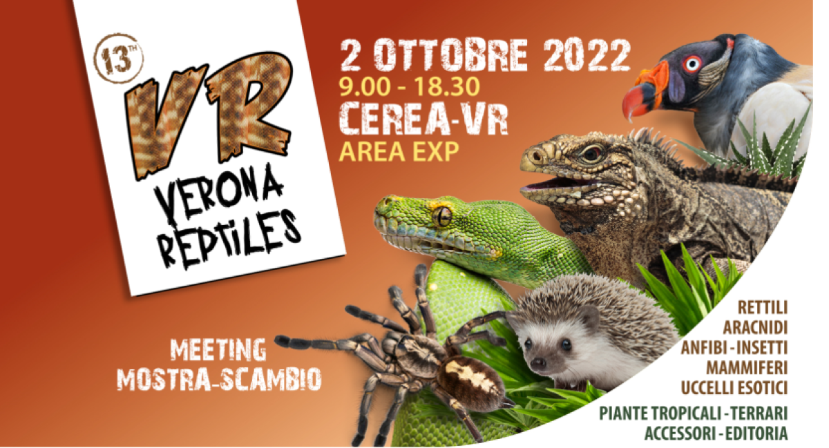 VERONA REPTILES | 02/10/2022