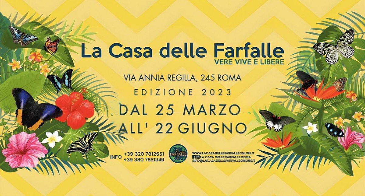 LA CASA DELLE FARFALLE | Sab 17/06