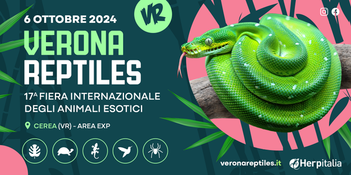 VERONA REPTILES | 06/10/2024