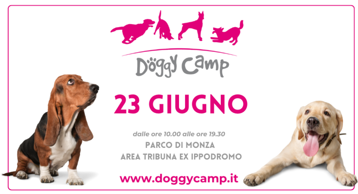 DOGGY CAMP | Dom 23/06 - ANNULLATO