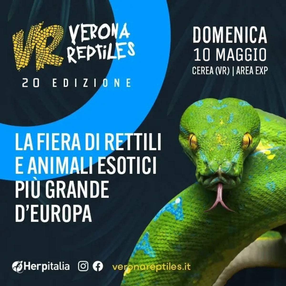 VERONA REPTILES | 10/05/2026
