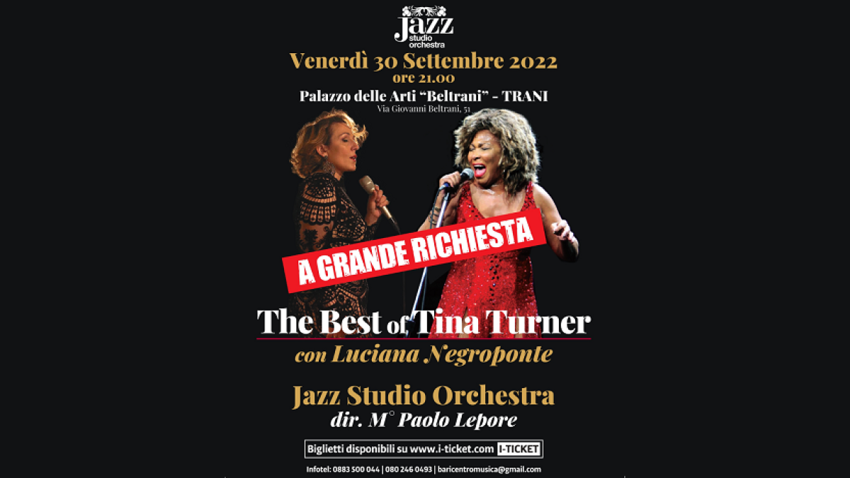 The best of Tina Turner