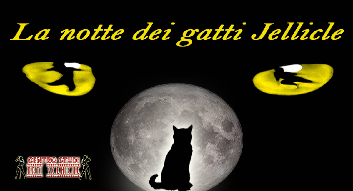LA NOTTE DEI GATTI JELLICLE