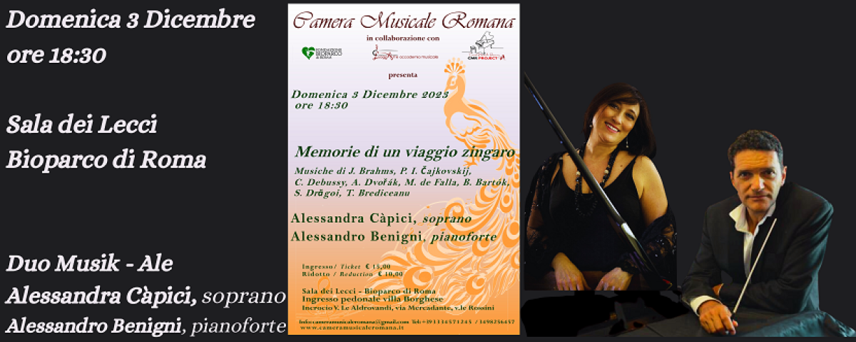 Memorie di un viaggio zingaro
