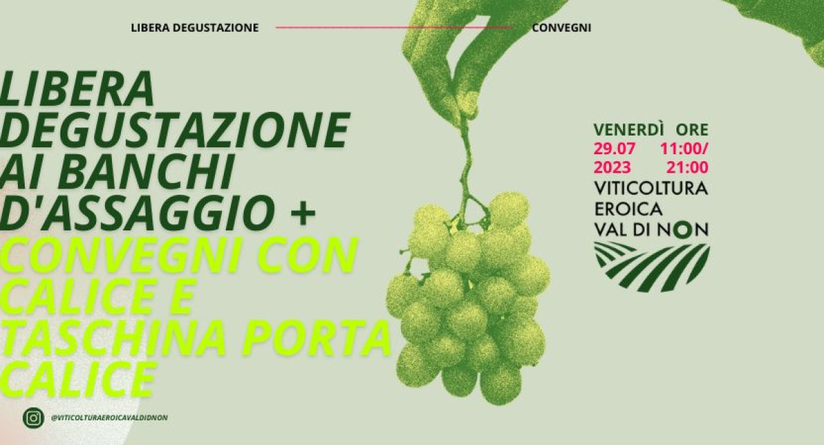 VITICOLTURA EROICA VAL DI NON 29/07