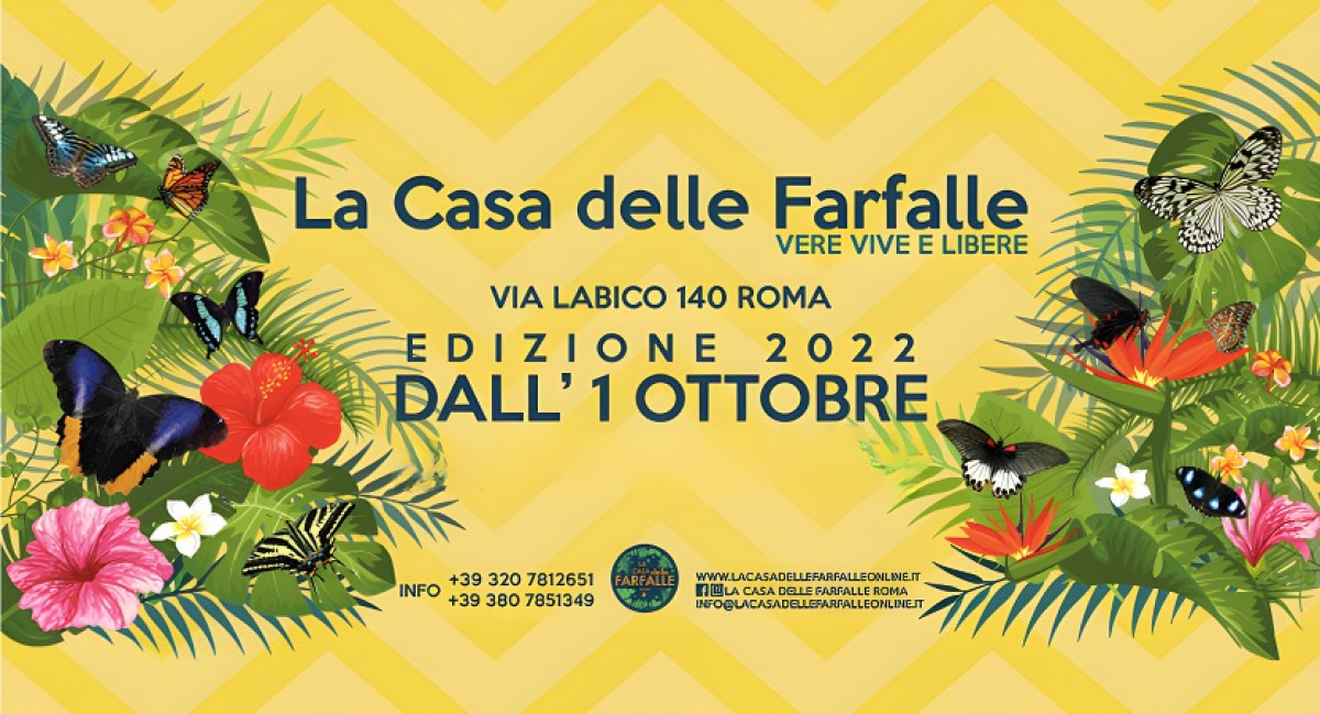 LA CASA DELLE FARFALLE | Dom 13/11