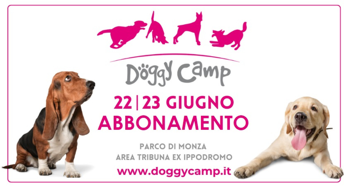 DOGGY CAMP 2024 | 2 gg