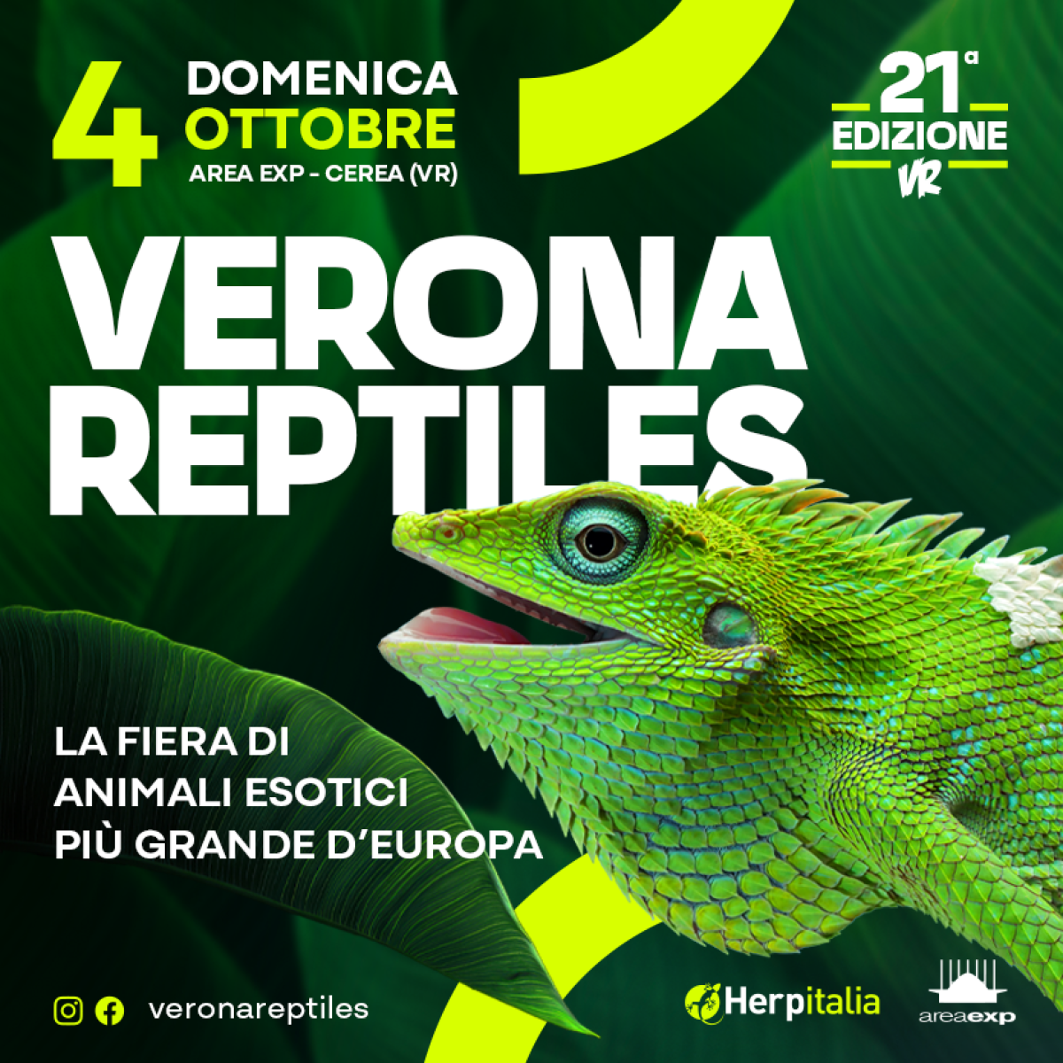 VERONA REPTILES | 04/10/2026