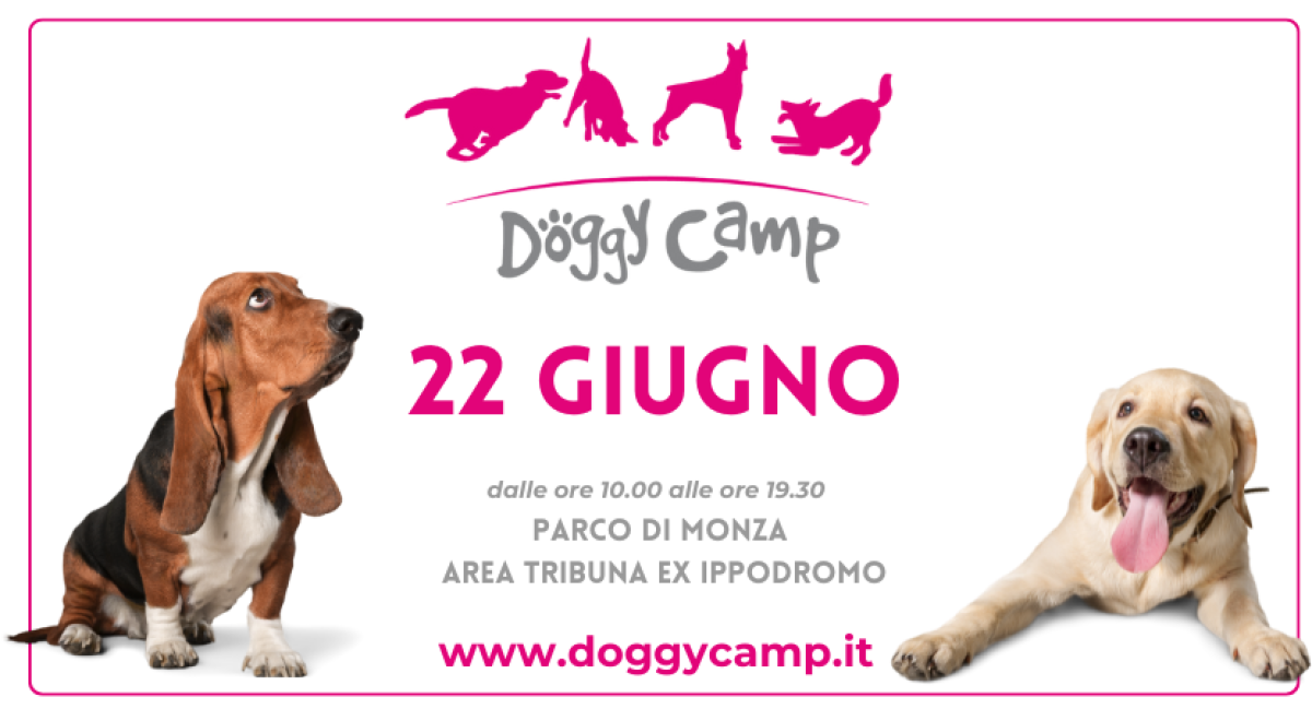 DOGGY CAMP | Sab 22/06