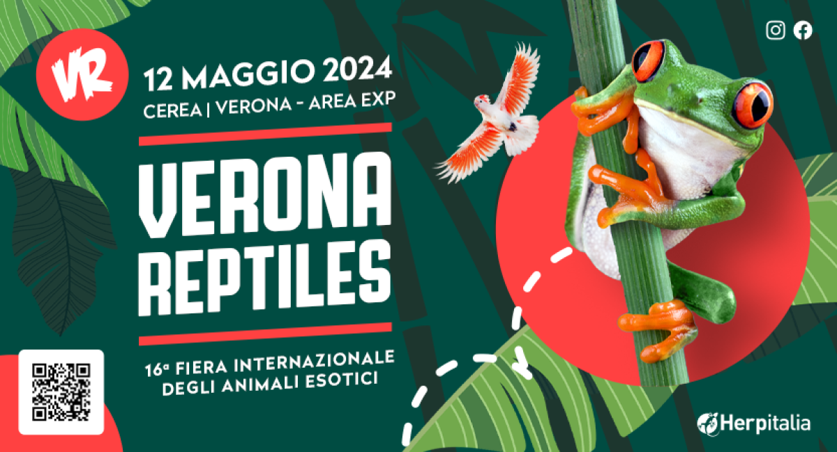 VERONA REPTILES | 12/05/2024