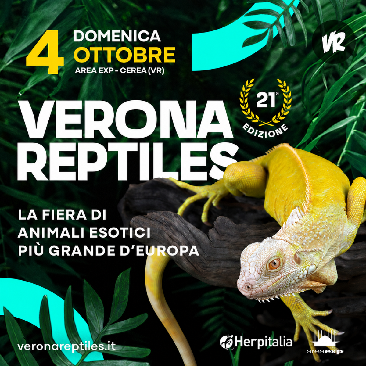VERONA REPTILES | 04/10/2026