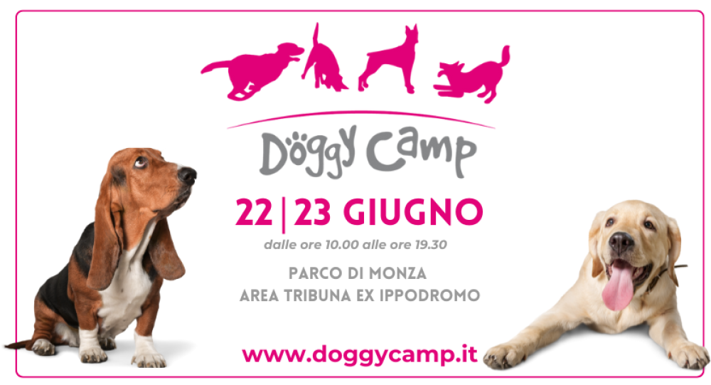 DOGGY CAMP