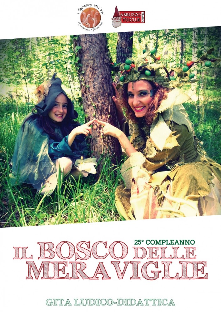 Costume Adulto Tweedle Dee / Tweedle Dum - Completo Fancy Dress - Tema Alice Nel Paese Delle Meraviglie