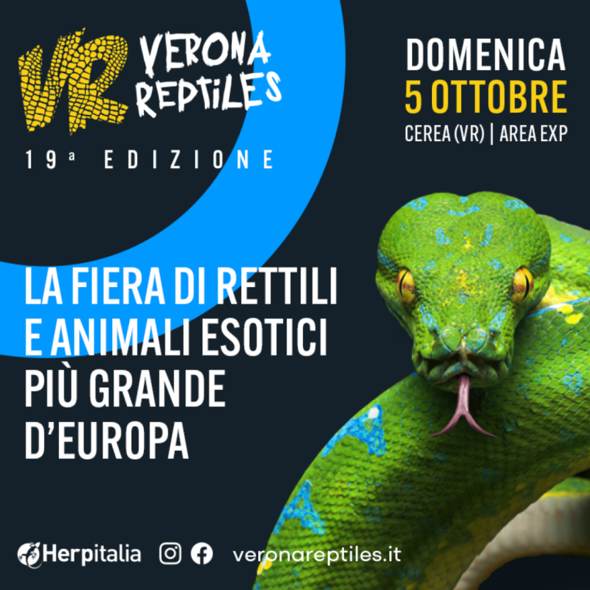 VERONA REPTILES | 05/10/2025