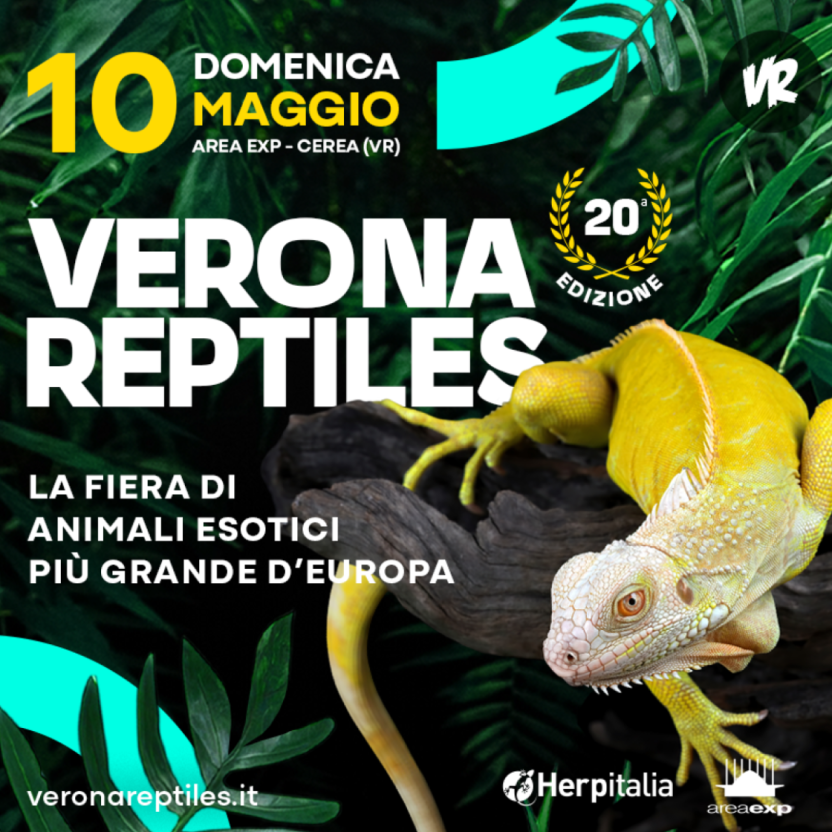 VERONA REPTILES | 10/05/2026
