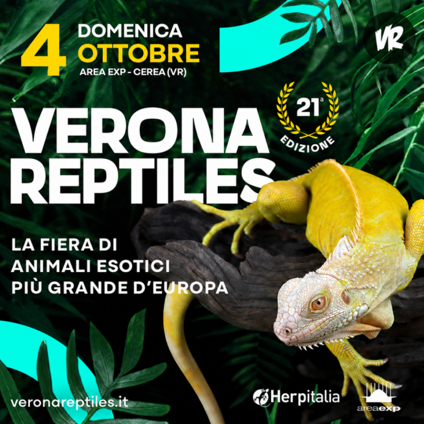 VERONA REPTILES | 04/10/2026